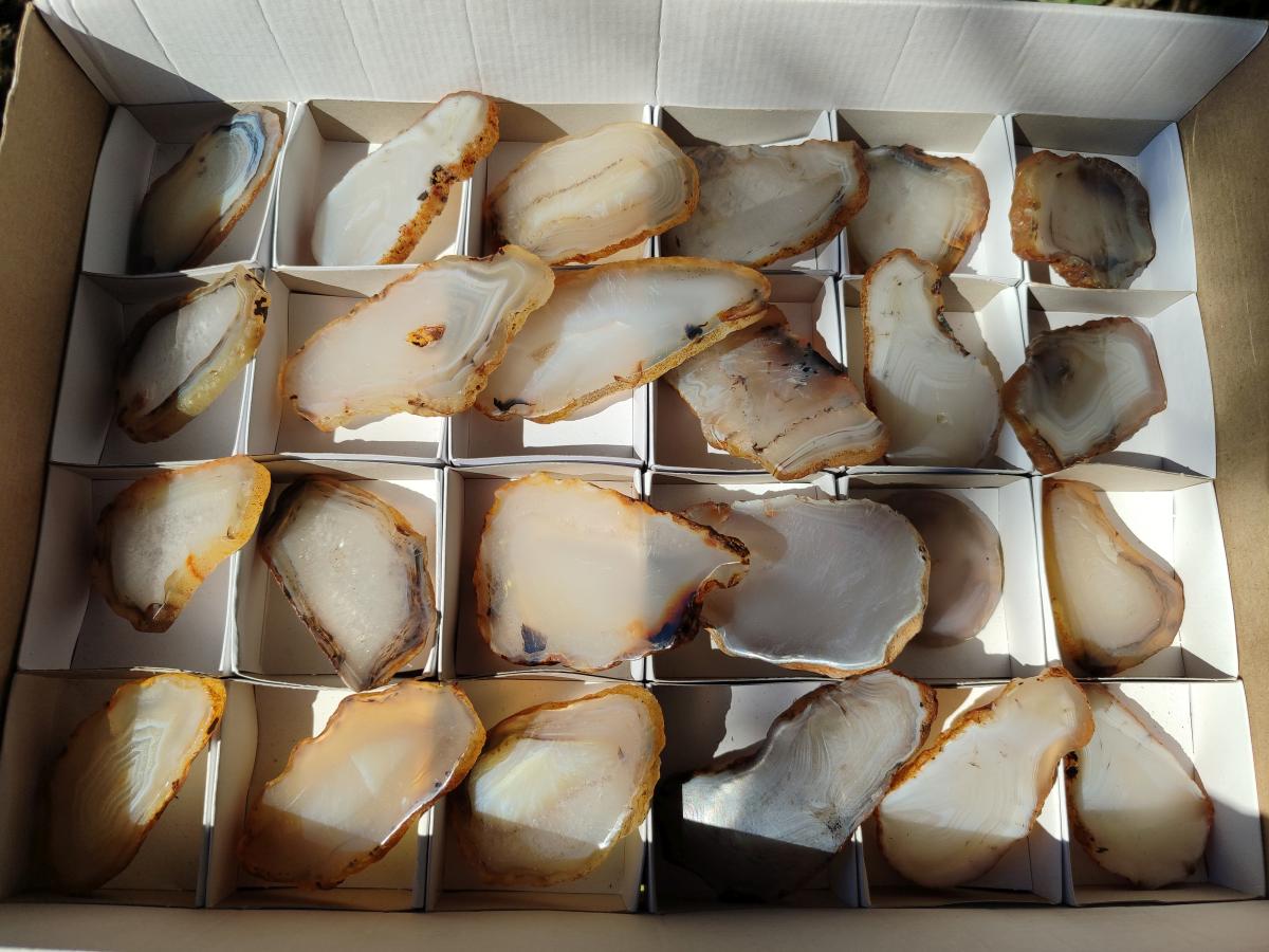 Polished Banded Agate Slices x 24 From Madagascar - Toprock Gemstones and Minerals 