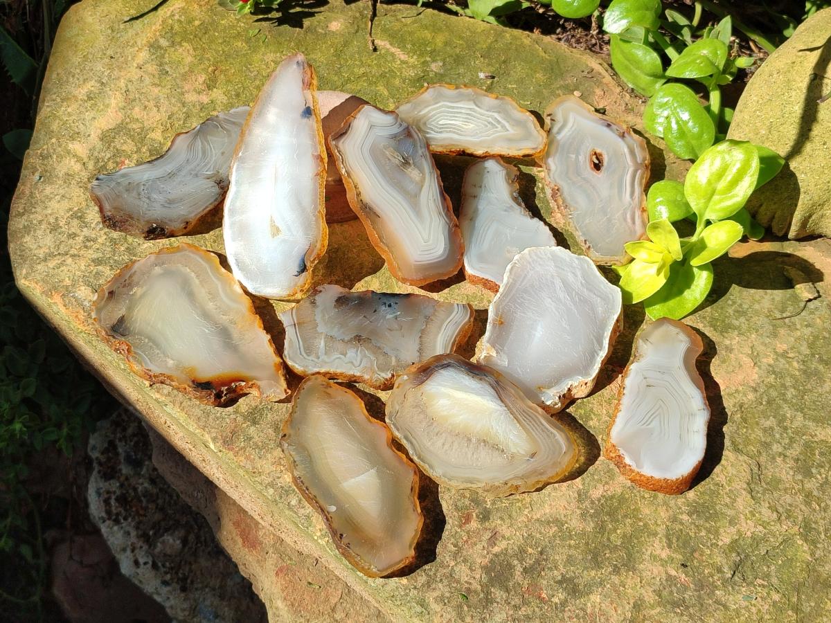 Polished Banded Agate Slices x 24 From Madagascar - Toprock Gemstones and Minerals 
