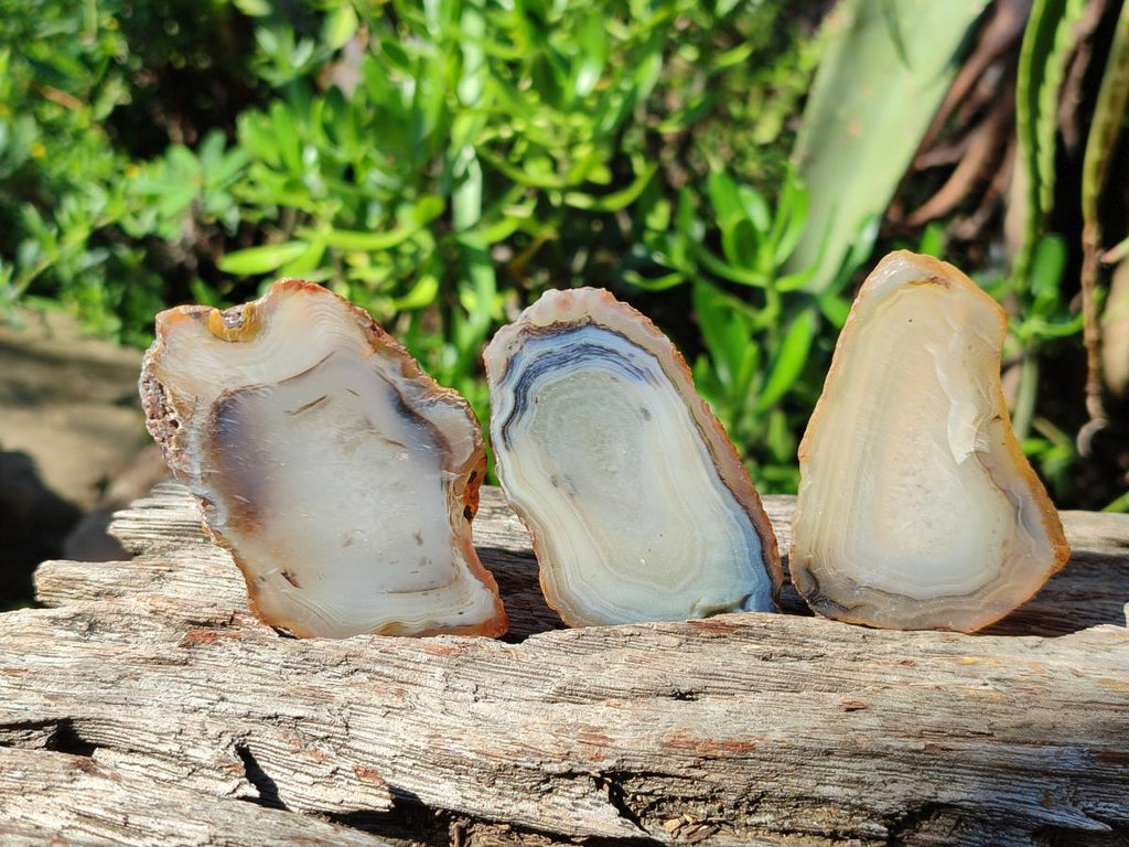 Polished Banded Agate Slices x 24 From Madagascar - Toprock Gemstones and Minerals 