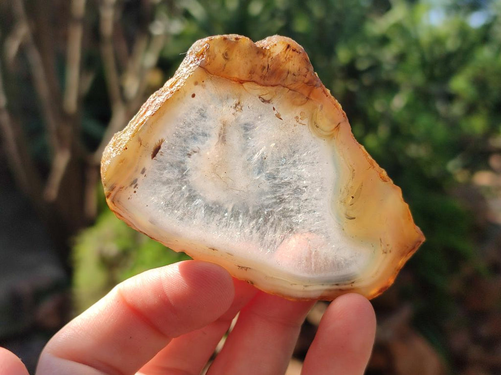 Polished Banded Agate Slices x 24 From Madagascar - Toprock Gemstones and Minerals 