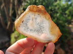 Polished Banded Agate Slices x 24 From Madagascar - Toprock Gemstones and Minerals 