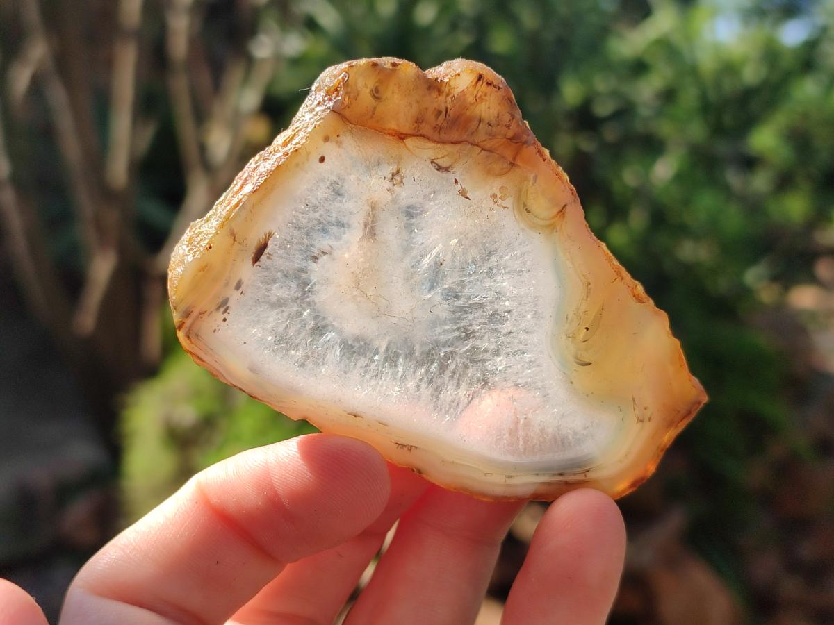 Polished Banded Agate Slices x 24 From Madagascar - Toprock Gemstones and Minerals 