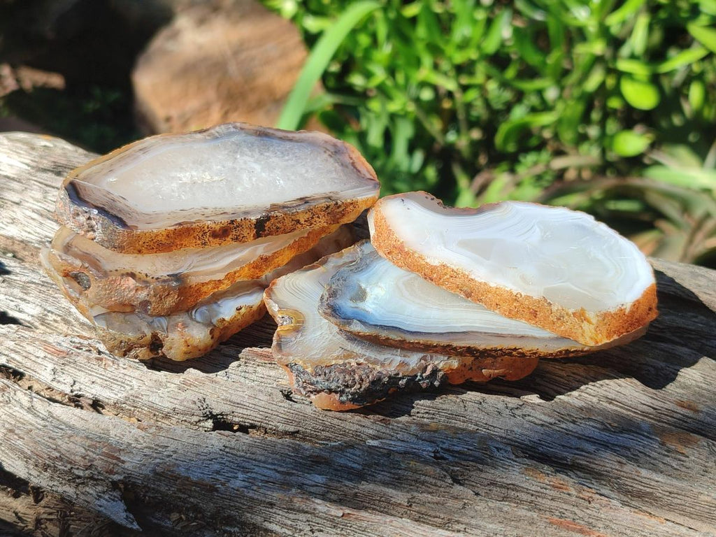 Polished Banded Agate Slices x 24 From Madagascar - Toprock Gemstones and Minerals 