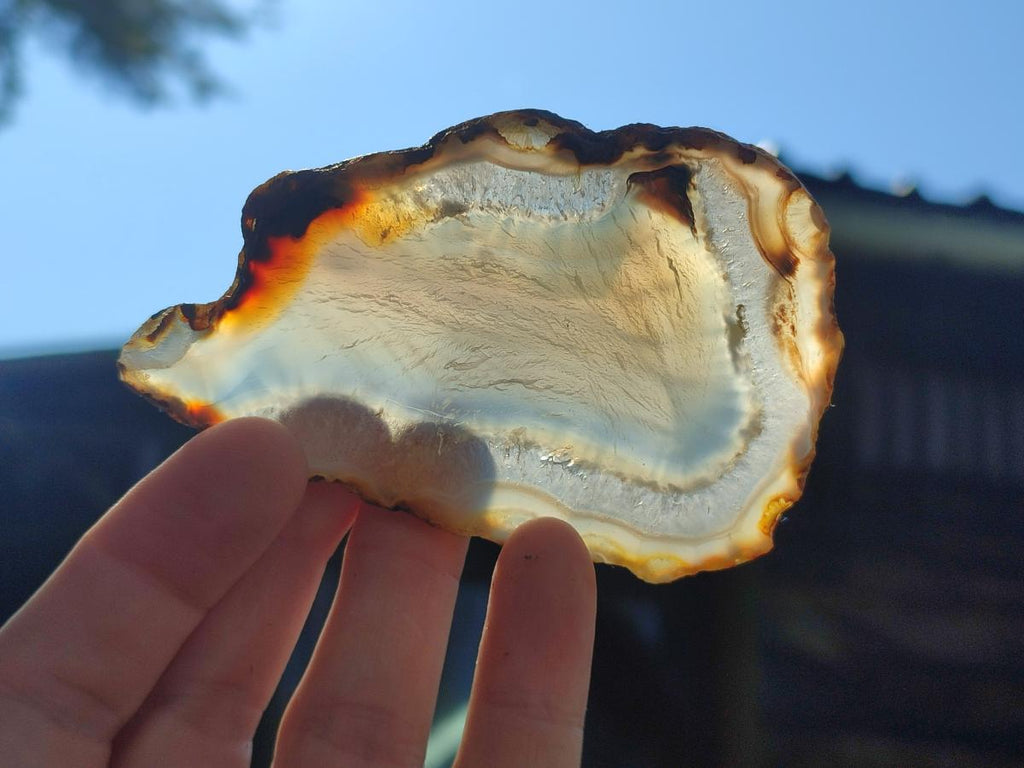 Polished Banded Agate Slices x 24 From Madagascar - Toprock Gemstones and Minerals 