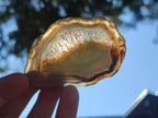 Polished Banded Agate Slices x 24 From Madagascar - Toprock Gemstones and Minerals 