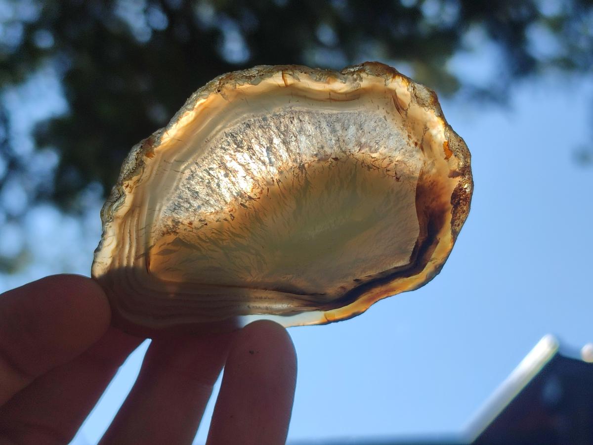 Polished Banded Agate Slices x 24 From Madagascar - Toprock Gemstones and Minerals 
