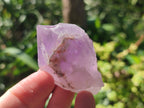 Natural Jacaranda Amethyst Single Crystals x 35 From Mumbwa, Zambia - Toprock Gemstones and Minerals 
