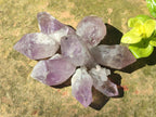 Natural Jacaranda Amethyst Single Crystals x 35 From Mumbwa, Zambia - Toprock Gemstones and Minerals 