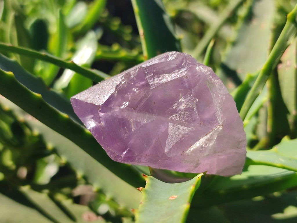 Natural Jacaranda Amethyst Single Crystals x 35 From Mumbwa, Zambia - Toprock Gemstones and Minerals 