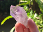 Natural Jacaranda Amethyst Single Crystals x 35 From Mumbwa, Zambia - Toprock Gemstones and Minerals 