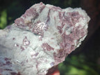 Natural Pink Rubellite Tourmaline Specimens x 3 From Karibib, Namibia - Toprock Gemstones and Minerals 
