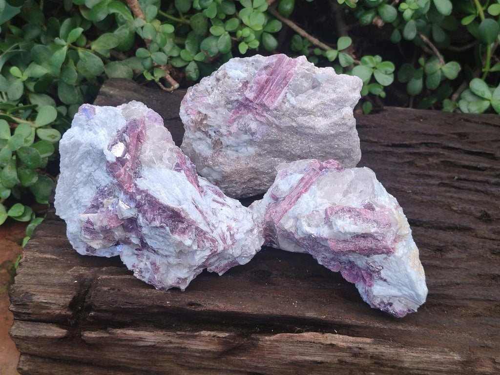 Natural Pink Rubellite Tourmaline Specimens x 3 From Karibib, Namibia - Toprock Gemstones and Minerals 