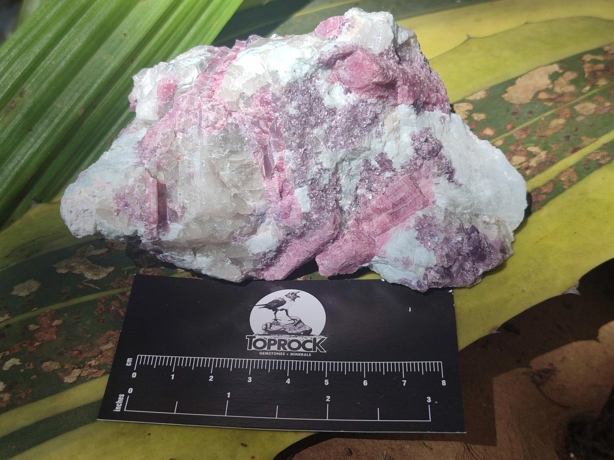 Natural Pink Rubellite Tourmaline Specimens x 3 From Karibib, Namibia - Toprock Gemstones and Minerals 