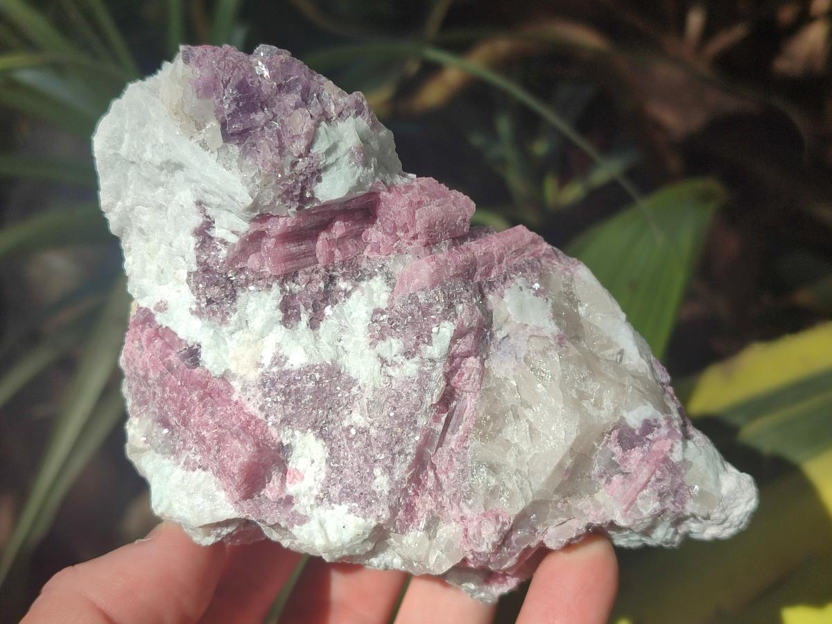 Natural Pink Rubellite Tourmaline Specimens x 3 From Karibib, Namibia