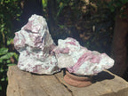 Natural Pink Rubellite Tourmaline Specimens x 3 From Karibib, Namibia - Toprock Gemstones and Minerals 