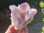 Natural Jacaranda Amethyst Crystal Clusters x 6 From Mumbwa, Zambia - Toprock Gemstones and Minerals 