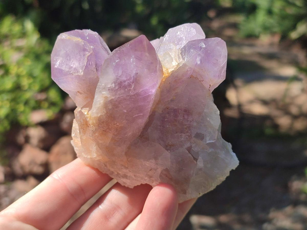 Natural Jacaranda Amethyst Crystal Clusters x 6 From Mumbwa, Zambia - Toprock Gemstones and Minerals 