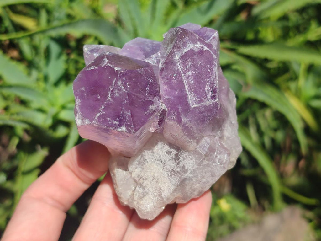 Natural Jacaranda Amethyst Crystal Clusters x 6 From Mumbwa, Zambia - Toprock Gemstones and Minerals 