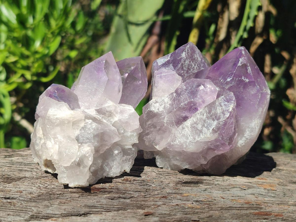 Natural Jacaranda Amethyst Crystal Clusters x 6 From Mumbwa, Zambia - Toprock Gemstones and Minerals 