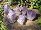 Natural Jacaranda Amethyst Crystal Clusters x 6 From Mumbwa, Zambia - Toprock Gemstones and Minerals 