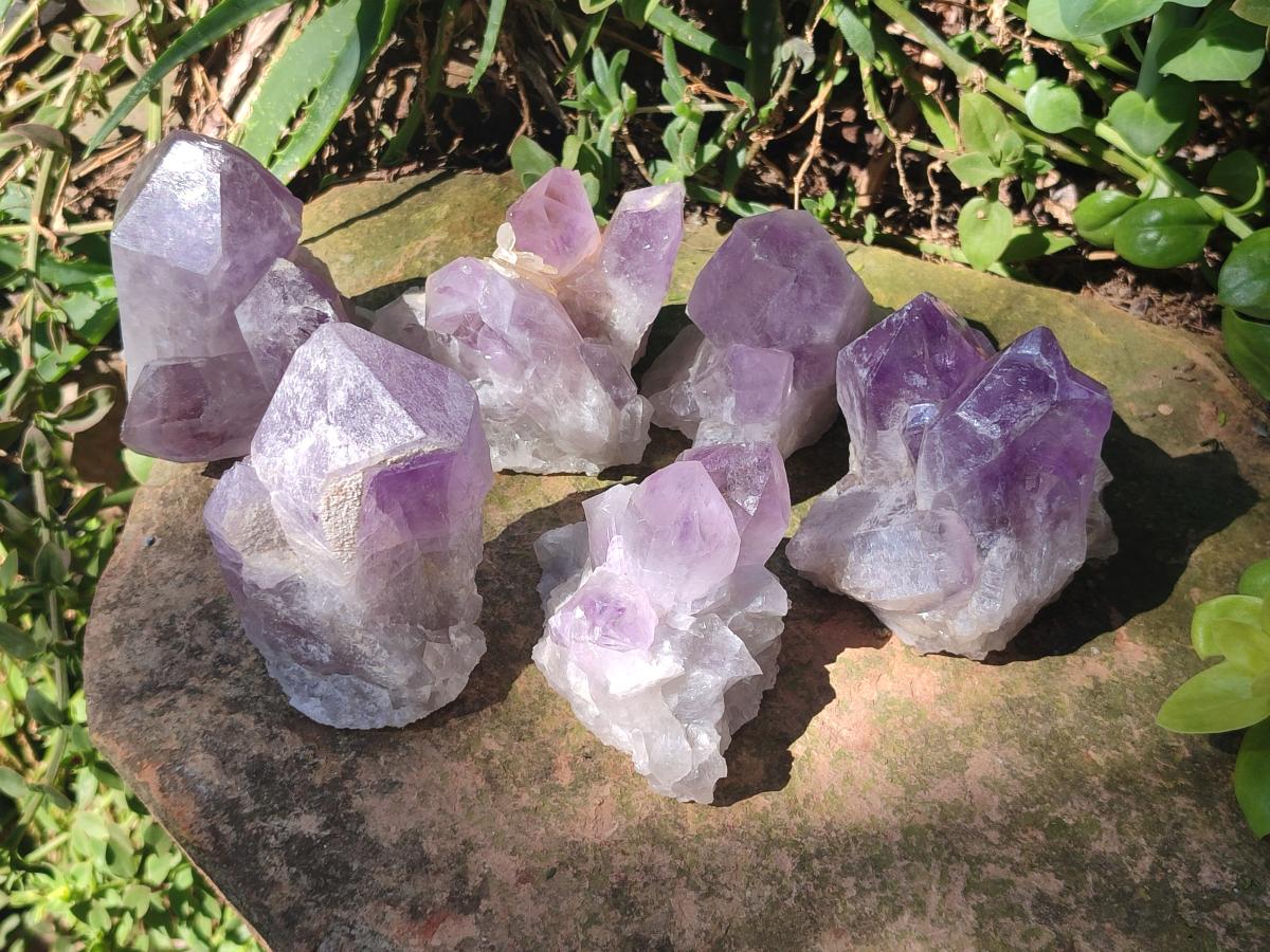 Natural Jacaranda Amethyst Crystal Clusters x 6 From Mumbwa, Zambia - Toprock Gemstones and Minerals 