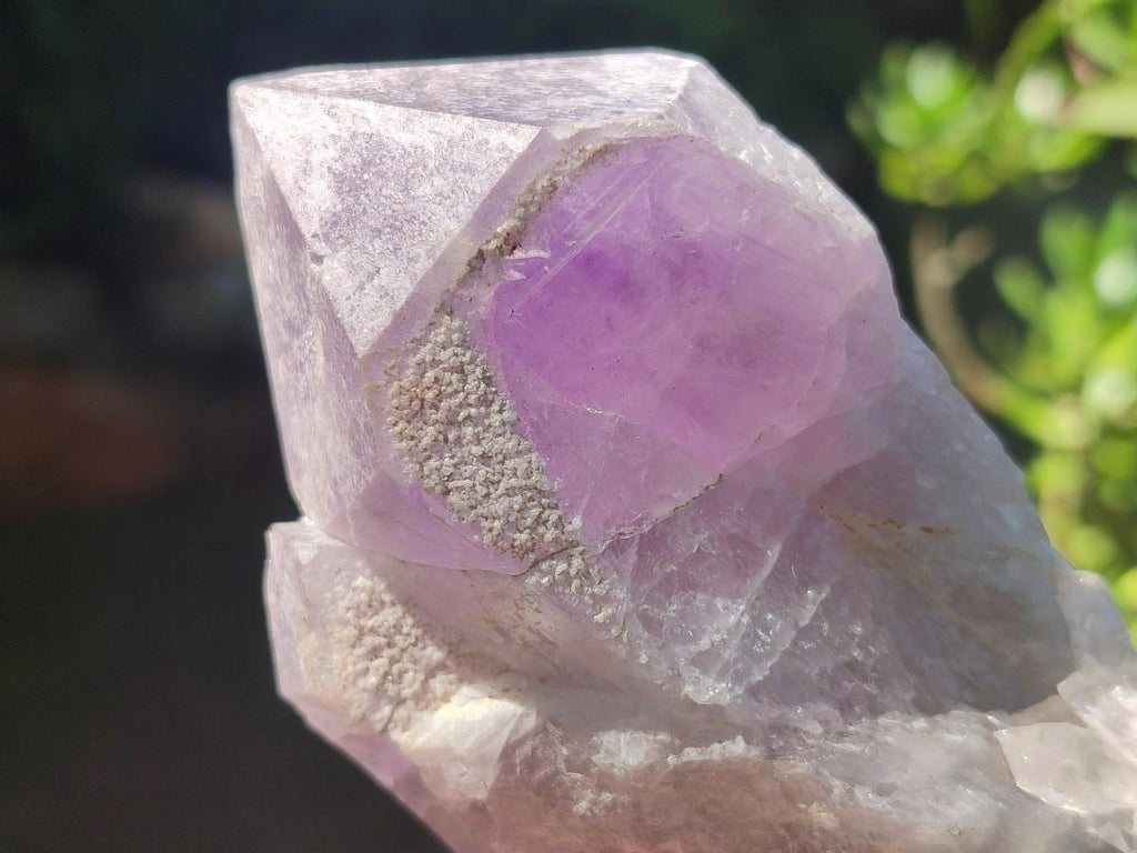 Natural Jacaranda Amethyst Crystal Clusters x 6 From Mumbwa, Zambia - Toprock Gemstones and Minerals 
