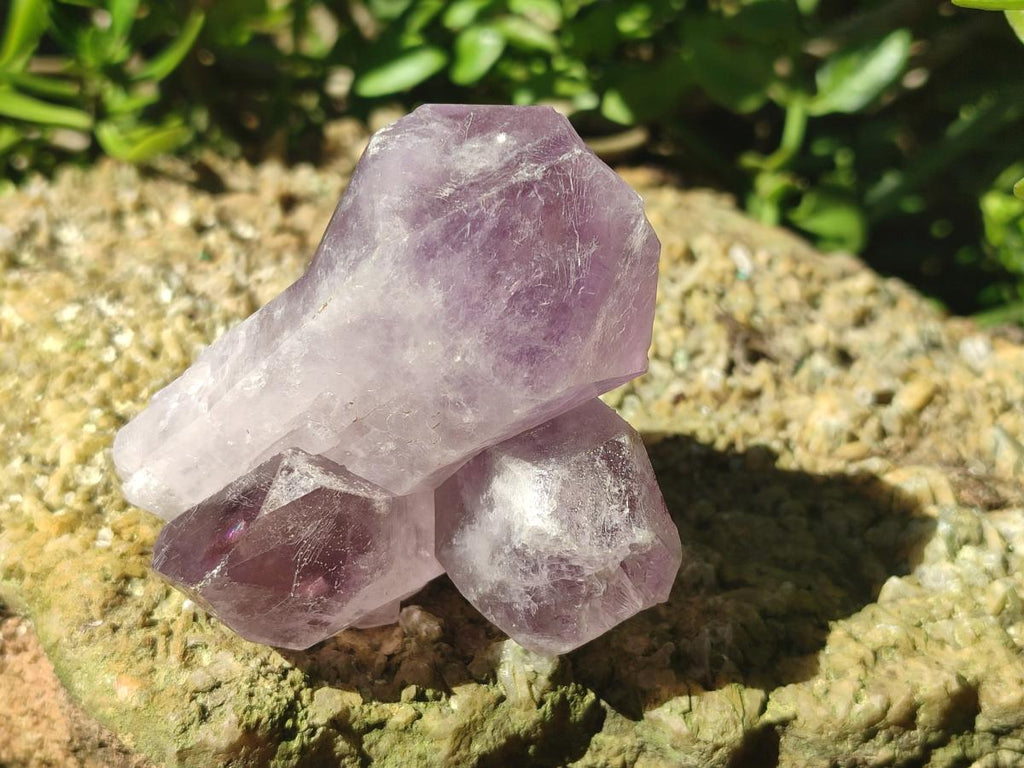 Natural Jacaranda Amethyst Crystal Clusters x 6 From Mumbwa, Zambia - Toprock Gemstones and Minerals 