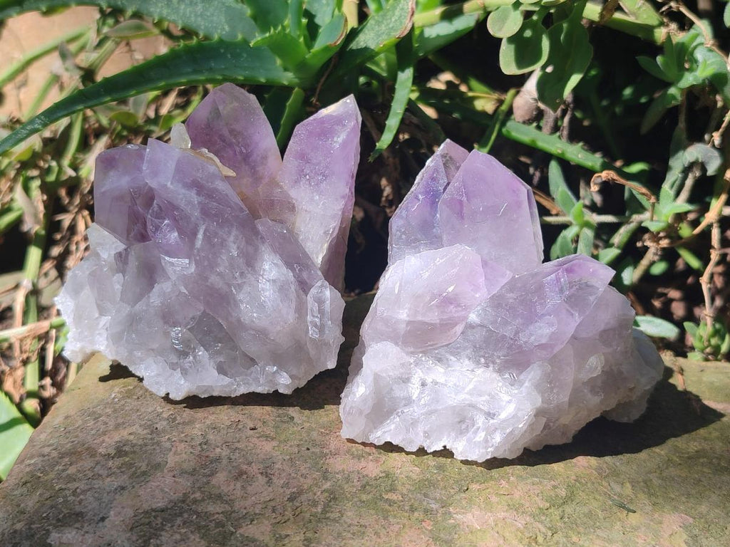 Natural Jacaranda Amethyst Crystal Clusters x 6 From Mumbwa, Zambia - Toprock Gemstones and Minerals 