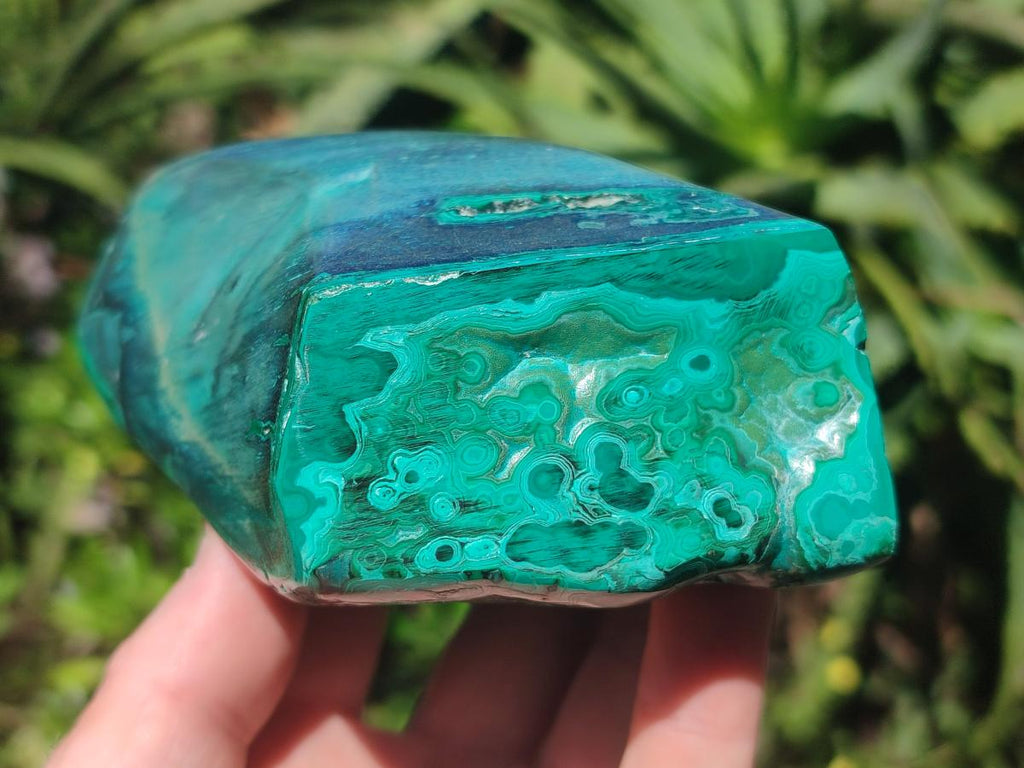 Polished Flower Banded Malachite Free Forms x 2 From Congo - Toprock Gemstones and Minerals 