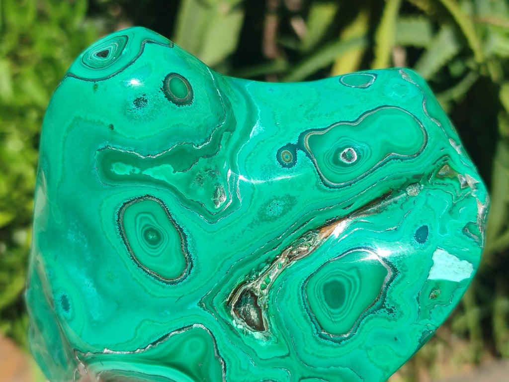 Polished Flower Banded Malachite Free Forms x 2 From Congo - Toprock Gemstones and Minerals 