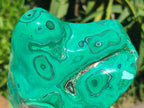 Polished Flower Banded Malachite Free Forms x 2 From Congo - Toprock Gemstones and Minerals 