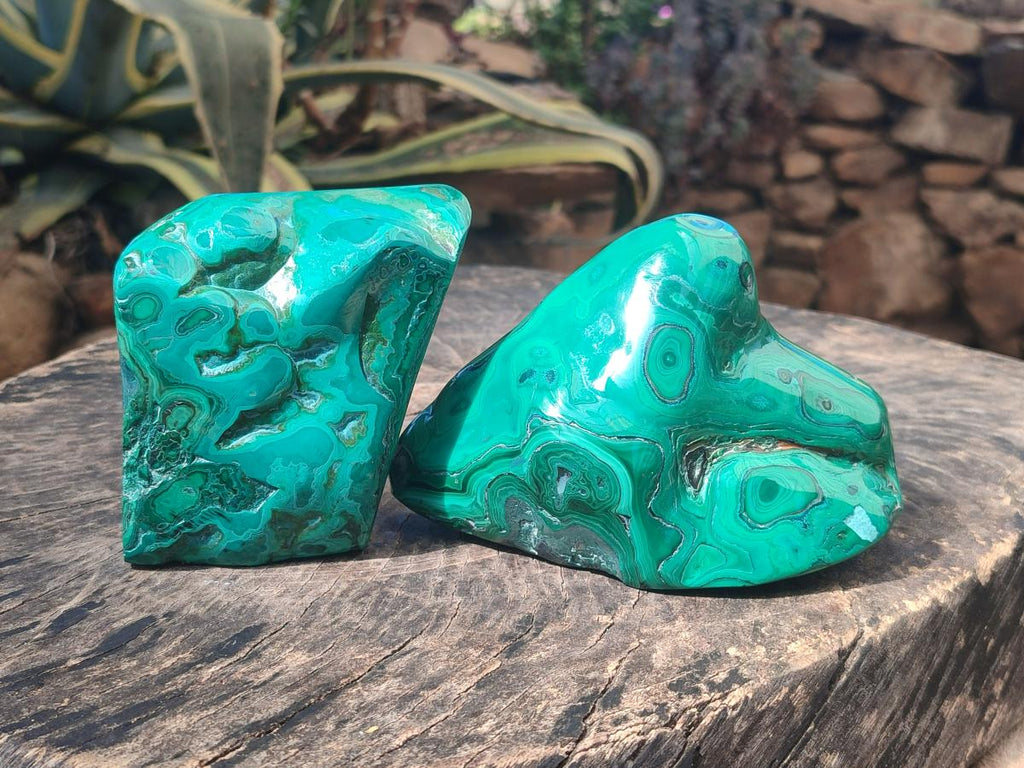 Polished Flower Banded Malachite Free Forms x 2 From Congo - Toprock Gemstones and Minerals 