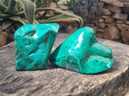 Polished Flower Banded Malachite Free Forms x 2 From Congo - Toprock Gemstones and Minerals 