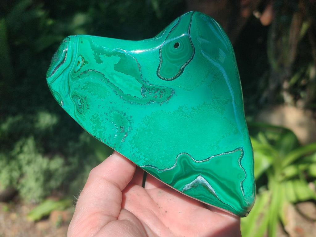 Polished Flower Banded Malachite Free Forms x 2 From Congo - Toprock Gemstones and Minerals 