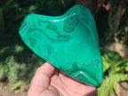Polished Flower Banded Malachite Free Forms x 2 From Congo - Toprock Gemstones and Minerals 