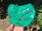 Polished Flower Banded Malachite Free Forms x 2 From Congo - Toprock Gemstones and Minerals 
