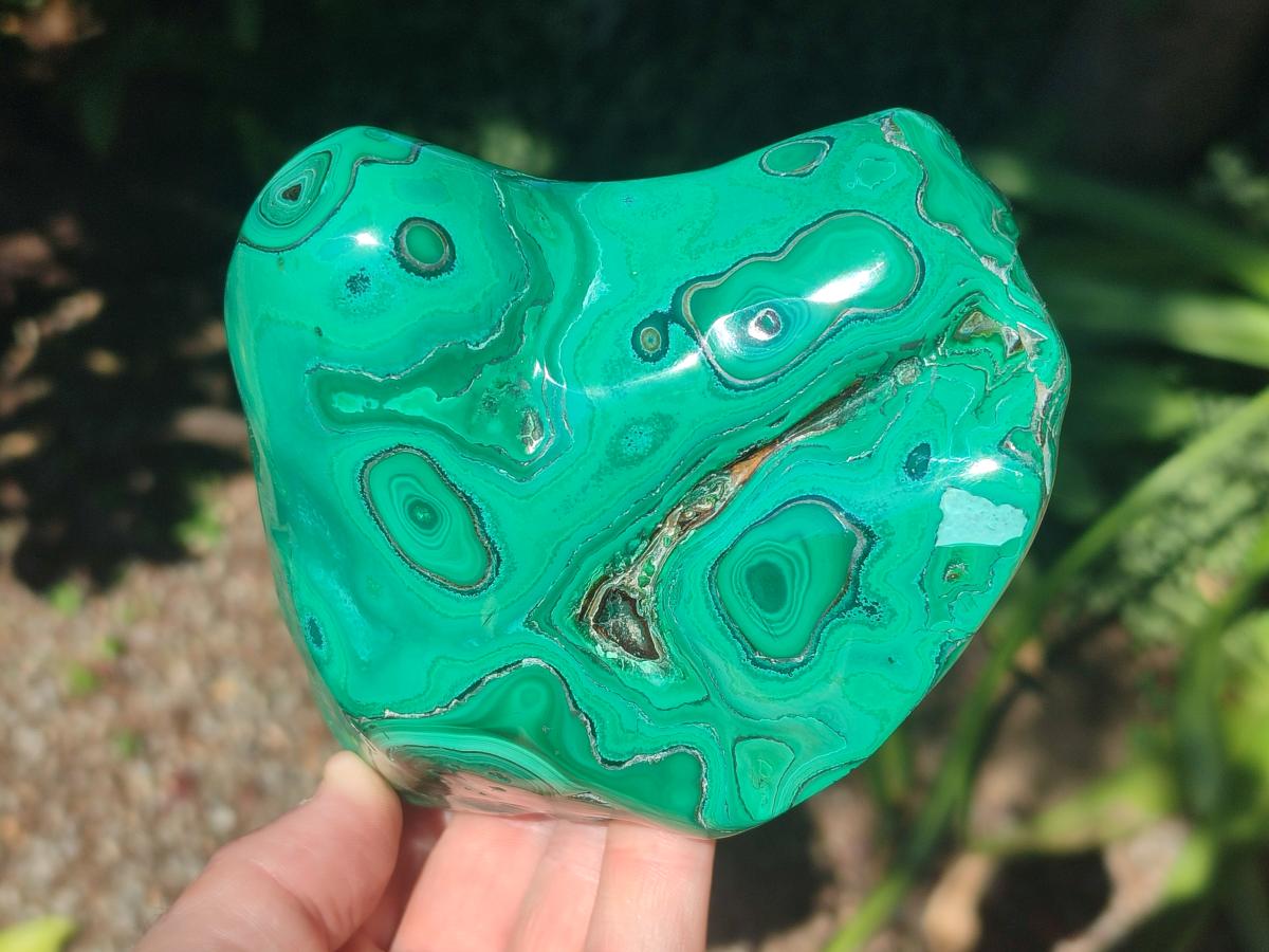 Polished Flower Banded Malachite Free Forms x 2 From Congo - Toprock Gemstones and Minerals 