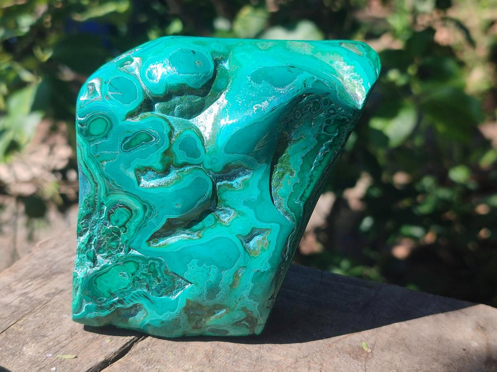 Polished Flower Banded Malachite Free Forms x 2 From Congo - Toprock Gemstones and Minerals 