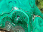 Polished Flower Banded Malachite Free Forms x 2 From Congo - Toprock Gemstones and Minerals 