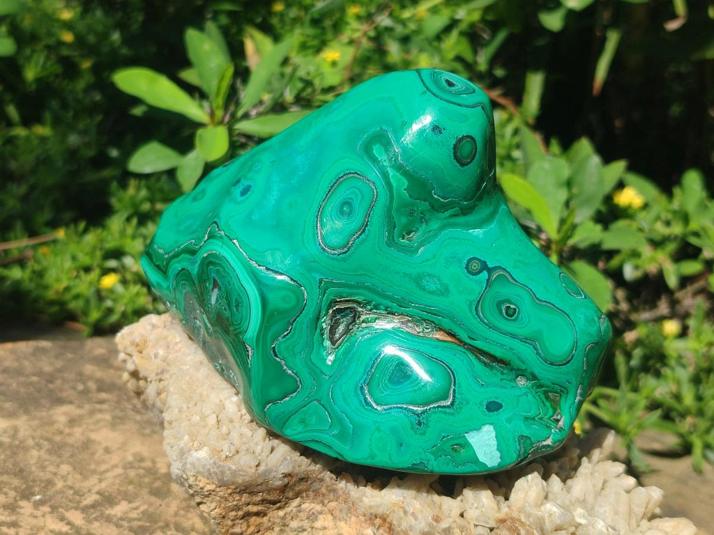 Polished Flower Banded Malachite Free Forms x 2 From Congo - Toprock Gemstones and Minerals 