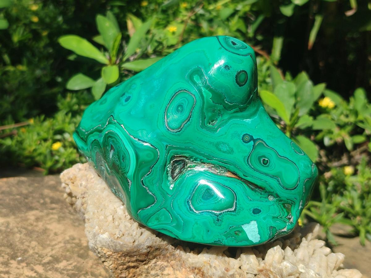 Polished Flower Banded Malachite Free Forms x 2 From Congo - Toprock Gemstones and Minerals 