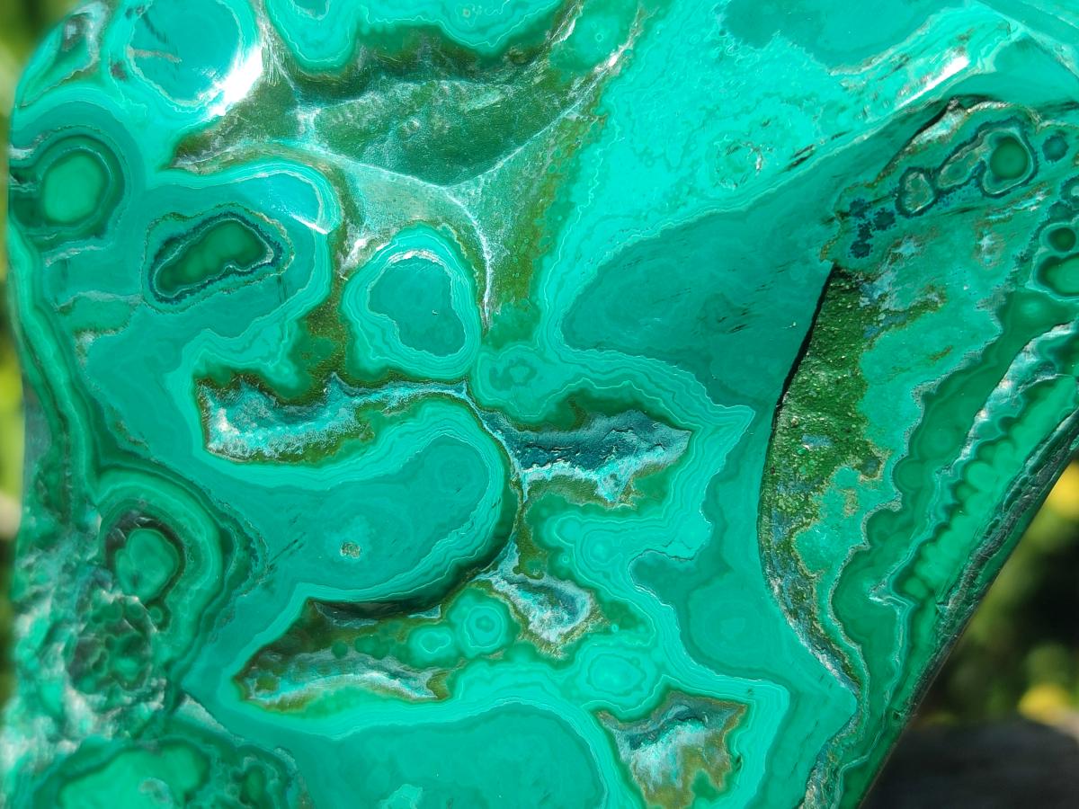 Polished Flower Banded Malachite Free Forms x 2 From Congo - Toprock Gemstones and Minerals 