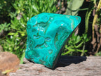 Polished Flower Banded Malachite Free Forms x 2 From Congo - Toprock Gemstones and Minerals 