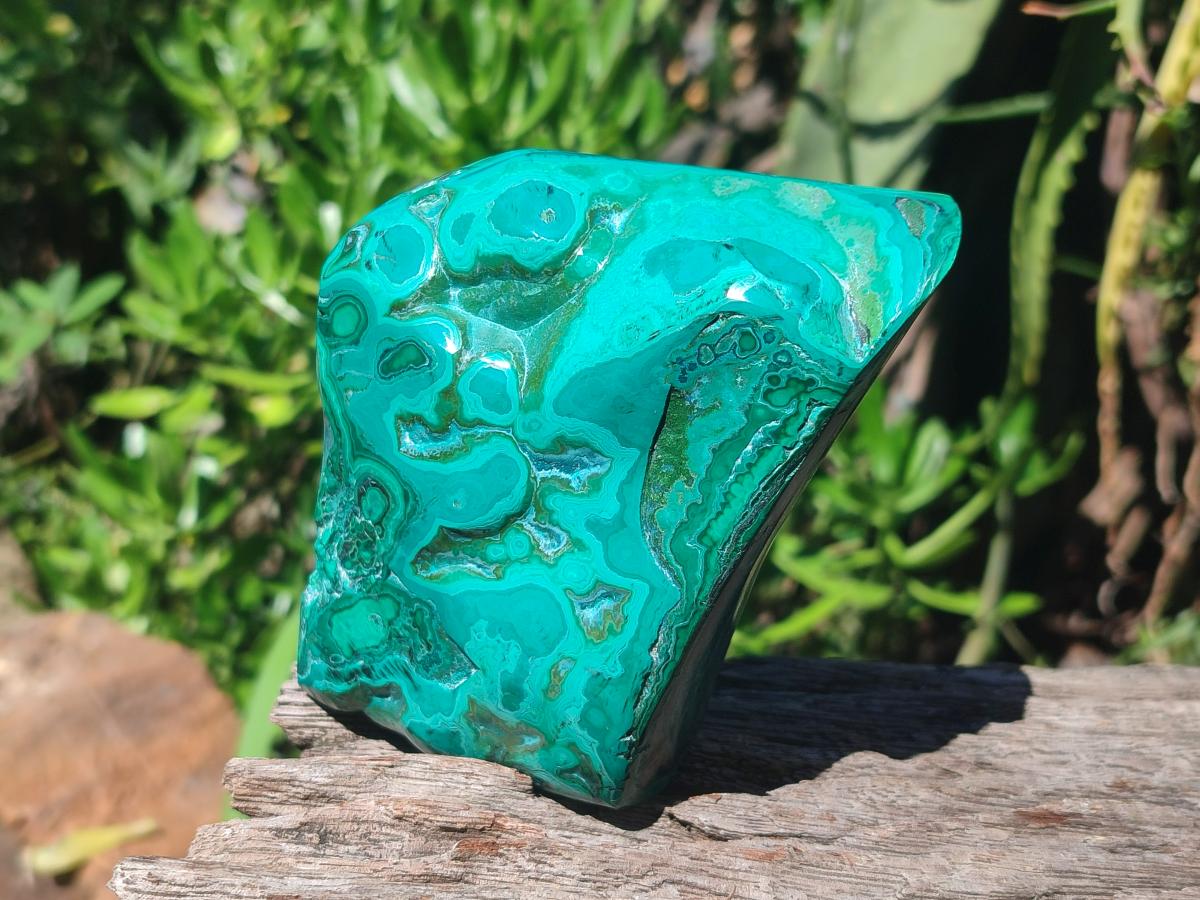Polished Flower Banded Malachite Free Forms x 2 From Congo - Toprock Gemstones and Minerals 