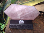 Polished Double Terminated Gemmy Rose Quartz Crystals x 3 From Madagascar - Toprock Gemstones and Minerals 