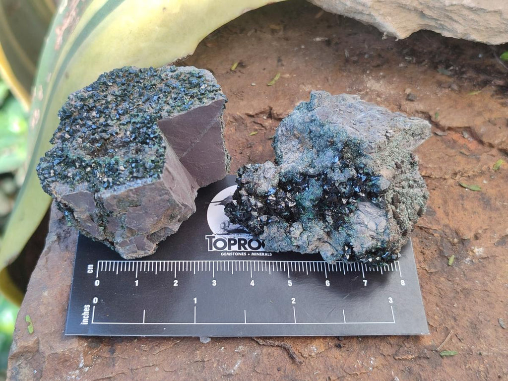Natural Libethenite Crystals on Dolomite Matrix Specimens x 12 From Shituru, Congo - Toprock Gemstones and Minerals 