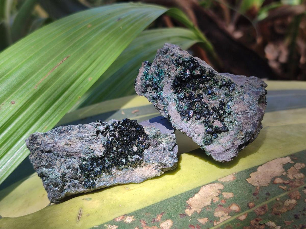 Natural Libethenite Crystals on Dolomite Matrix Specimens x 12 From Shituru, Congo - Toprock Gemstones and Minerals 