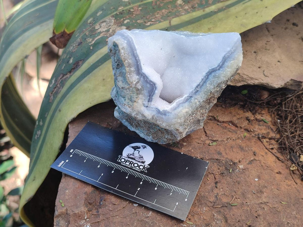 Natural Blue Lace Agate Geode Specimens x 12 From Nsanje, Malawi - Toprock Gemstones and Minerals 