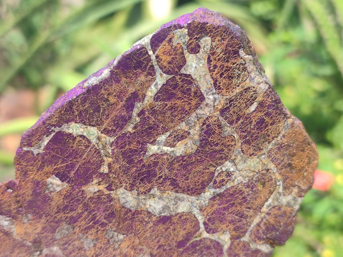 Polished Large Metallic Purpurite Slices x 10 From Erongo, Namibia - Toprock Gemstones and Minerals 