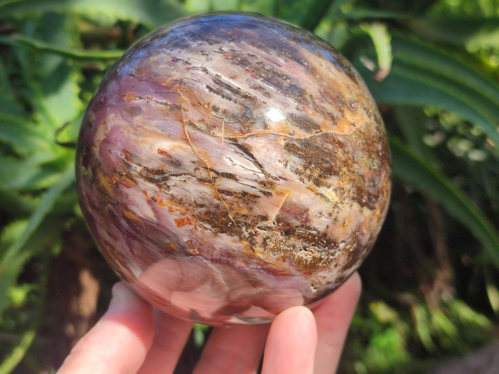 Polished Red Podocarpus Petrified Wood Spheres x 2 From Mahajanga, Madagascar - Toprock Gemstones and Minerals 
